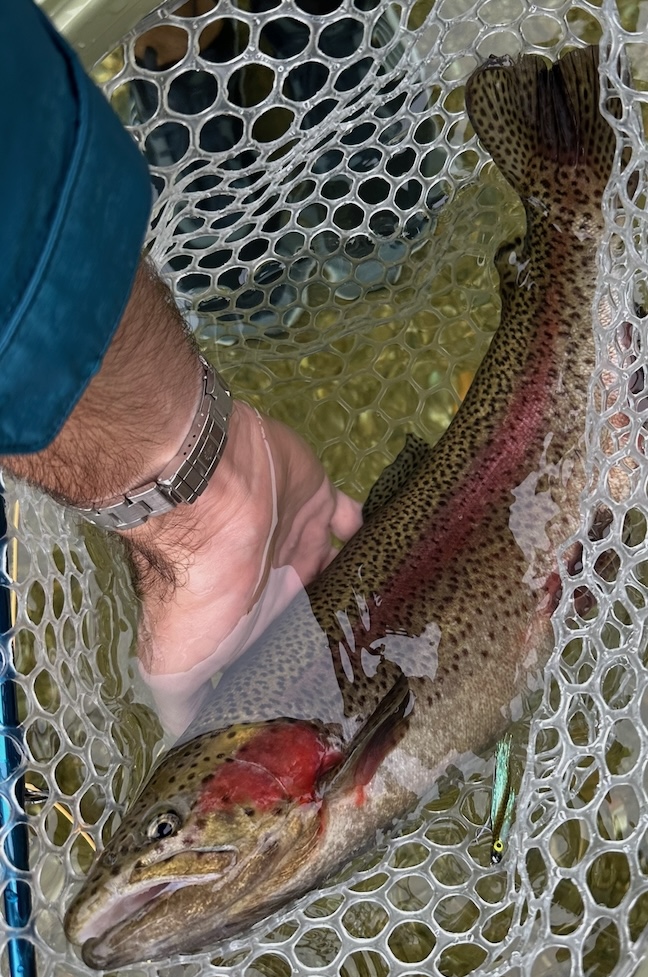 Catching a massive rainbow trout in the Swift River in eastern MA with the Explorer on my wrist.